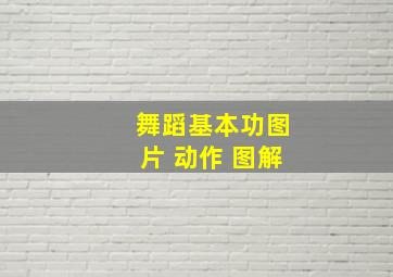 舞蹈基本功图片 动作 图解